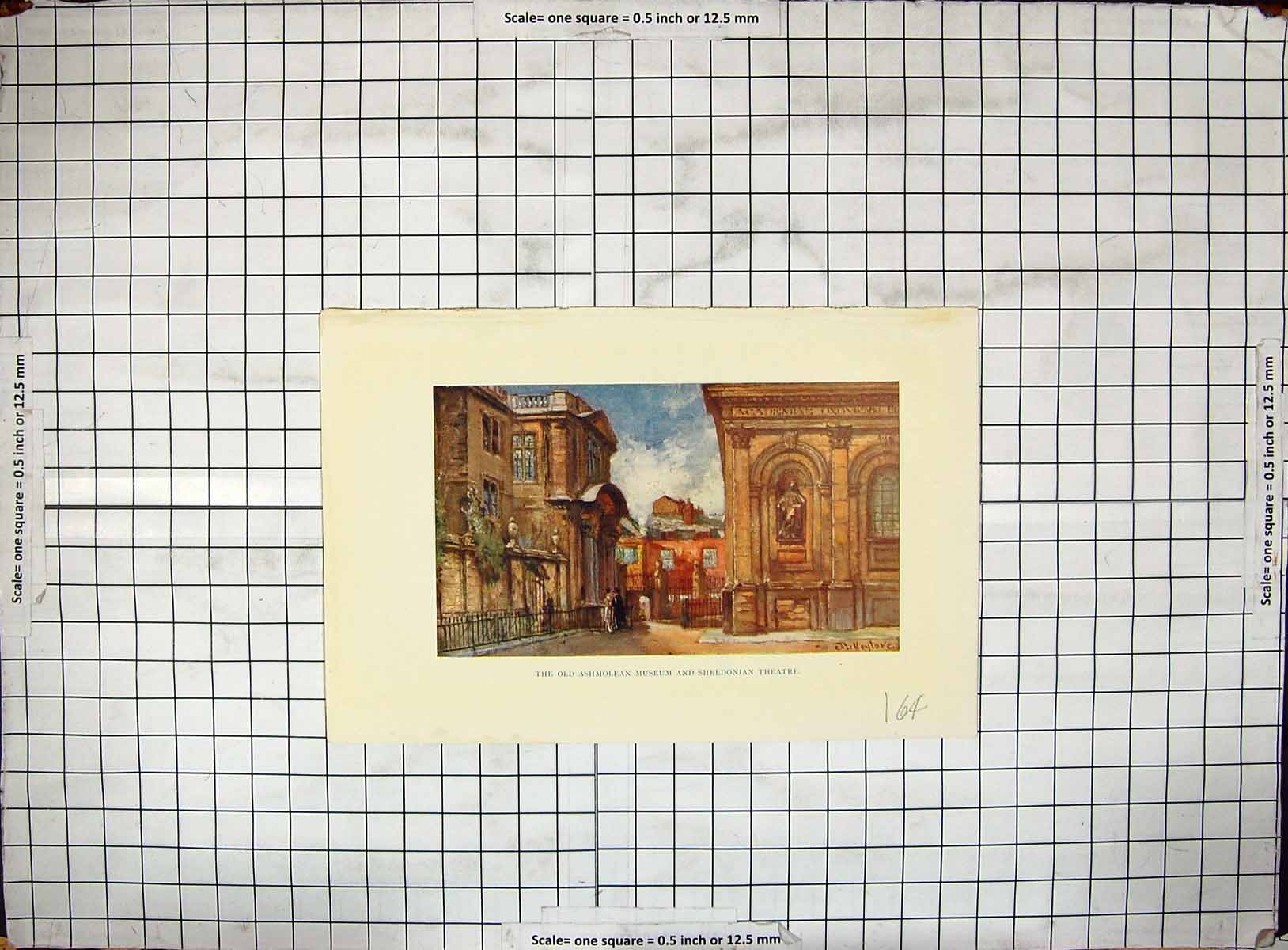 Original Old Antique Print Colour Ashmolean Musuem Sheldonian Theatre