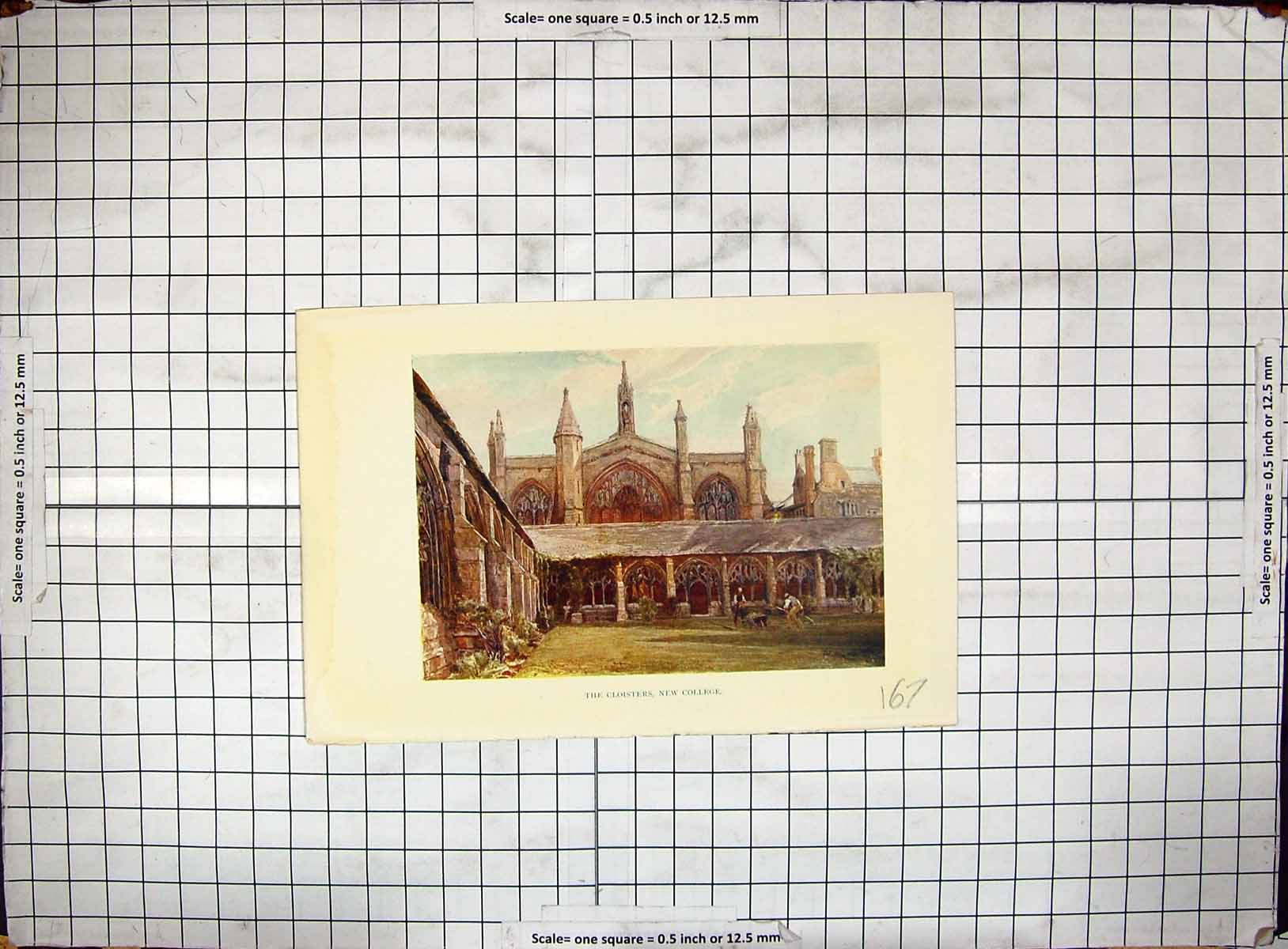 Original Old Antique Print Colour Cloisters New College Architecture