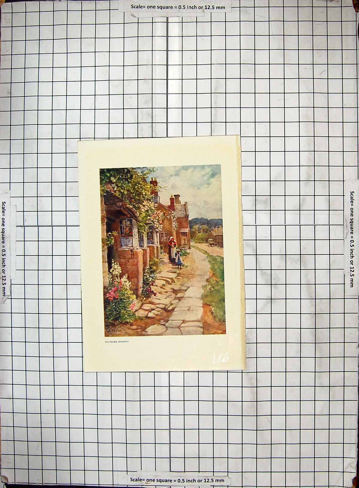 Original Old Antique Print Colour Houses Broadway Houses Flowers Children 19th