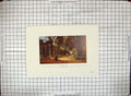 Original Old Antique Print Hand Coloured Botanic Gardens Wall Massive Gateway