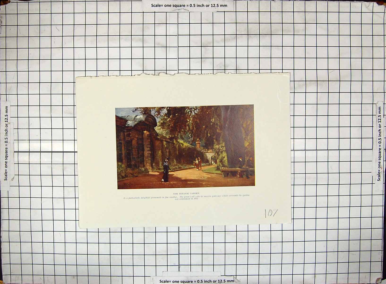 Original Old Antique Print Hand Coloured Botanic Gardens Wall Massive Gateway