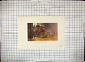 Original Old Antique Print Hand Coloured Trinity College Gardens Wadham Gateway