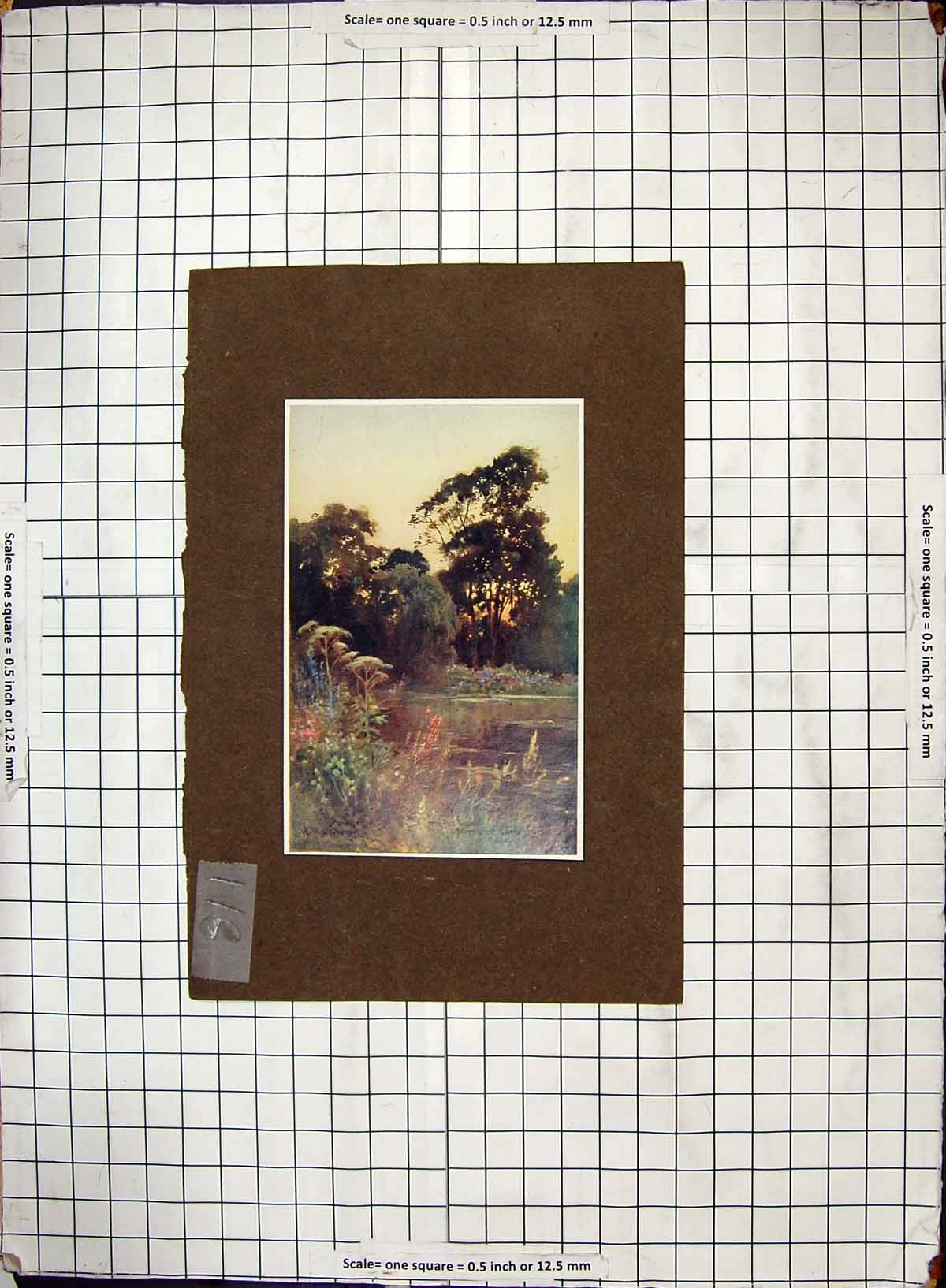 Original Old Antique Print Hand Coloured Lake Oxford Trees Flowers