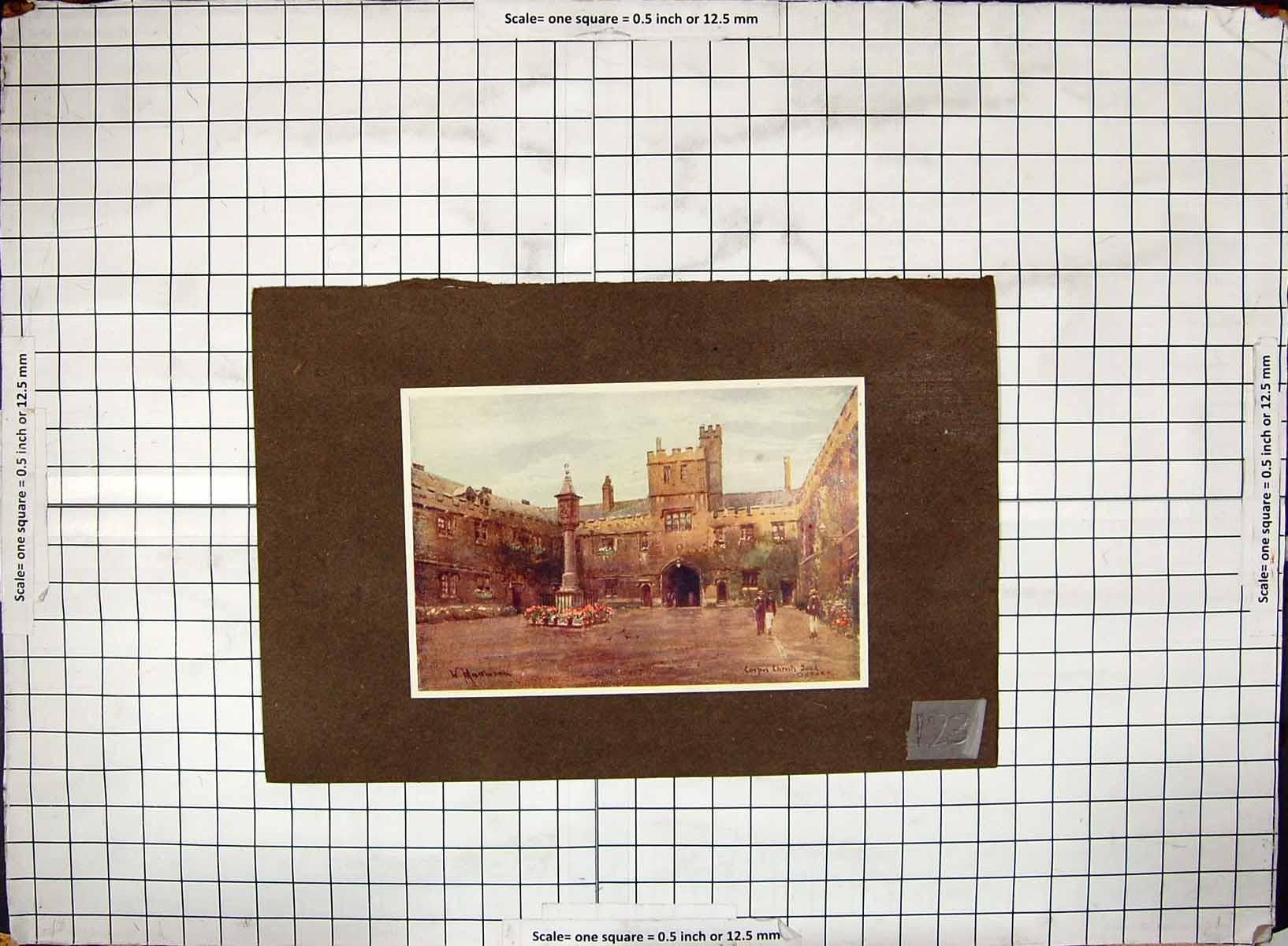 Antique Old Print Corpus Christi Oxford England Architecture Hand Coloured