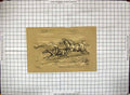 Original Old Antique Print Hand Coloured Rocky Mountains Wild Horses
