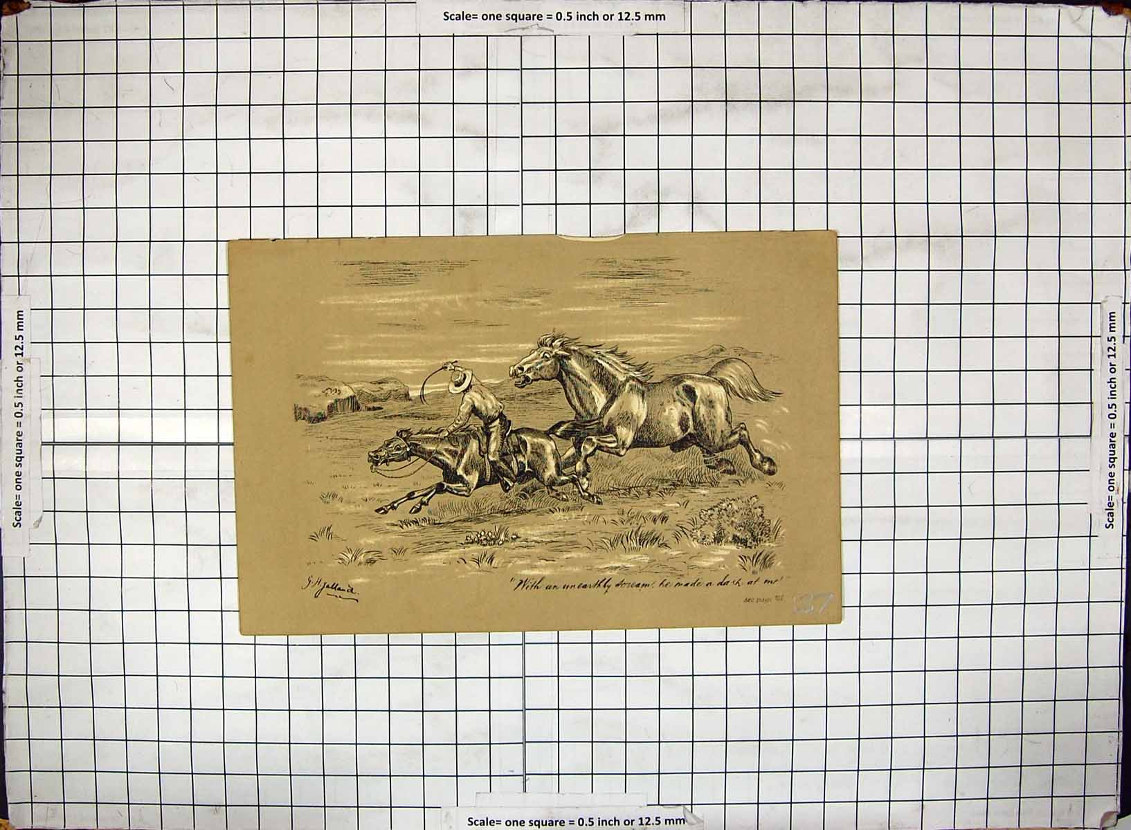 Original Old Antique Print Hand Coloured Rocky Mountains Wild Horses