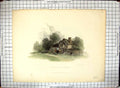 Original Old Antique Print Hand Coloured Charlecote Vicarage Radclyffe