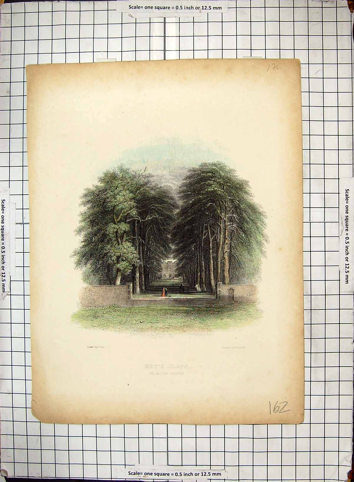 Original Old Antique Print Hand Coloured View Avenue Guy'S Cliff Radclyffe Cox