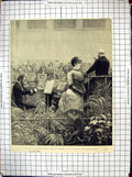 Antique Old Print 1882 Duke Edinburgh Madame Marie Roze Royal College Music