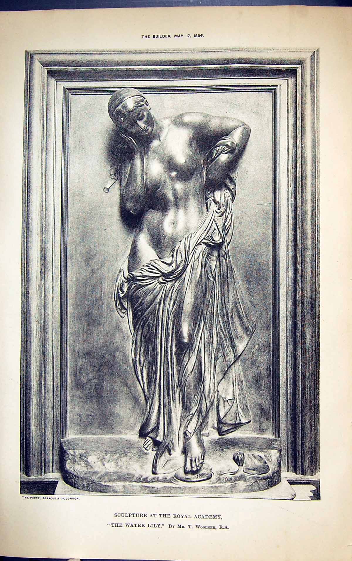 Old Sculpture Royal Academy Water Lily Woolner Building 1884 Architec Victorian
