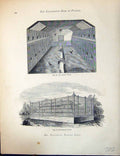 Old Print Birds Fulton Wright C1880 Wallace Pigeon Loft Interior Exterior 19th