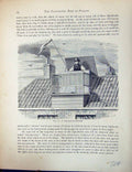 Antique Old Print Birds Fulton Wright C1880 Pigeon Spitalfields Dormer Loft