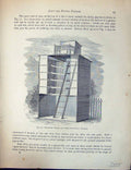 Old Birds Fulton Wright C1880 Pigeon Detached House Area Flying Loft Victorian