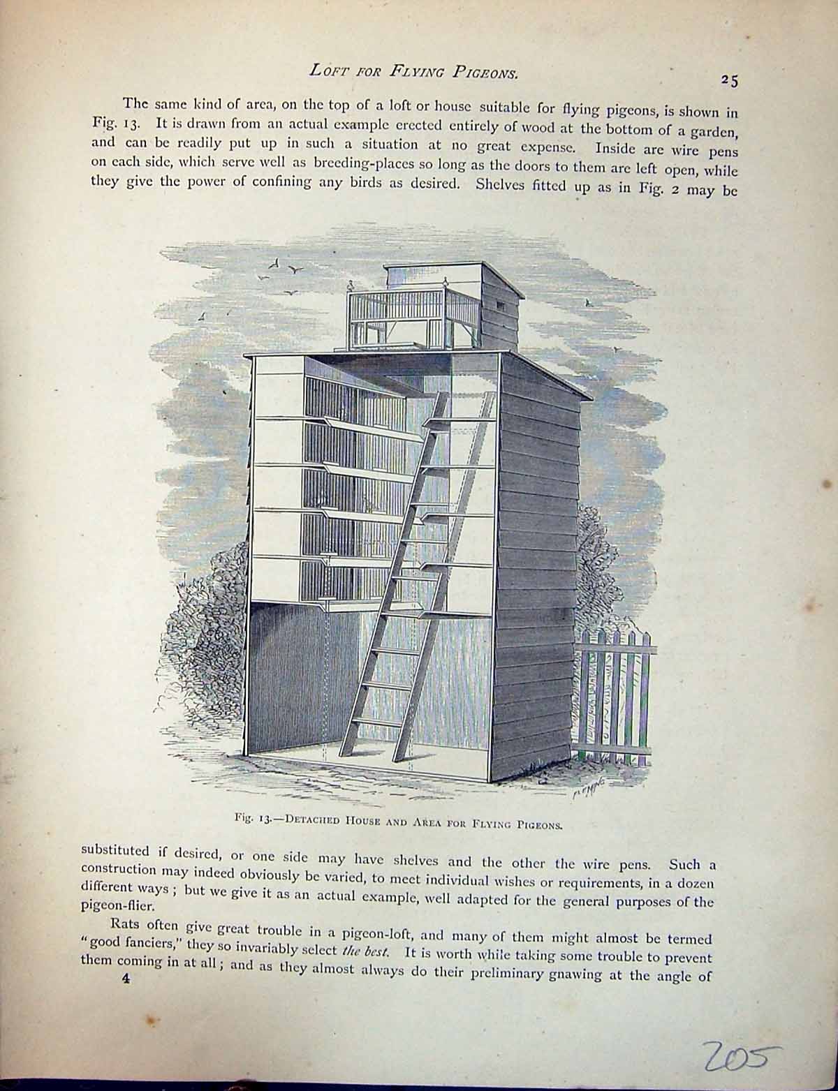 Old Birds Fulton Wright C1880 Pigeon Detached House Area Flying Loft Victorian