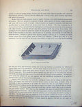 Original Old Antique Print Birds Fulton Wright C1880 Pigeon Bath Inside Loft