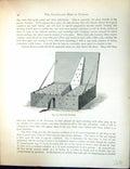 Original Old Antique Print Birds Fulton Wright C1880 Pigeon Box Pouters 19th