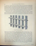 Original Old Antique Print Birds Fulton Wright C1880 Pigeon Perches Carriers