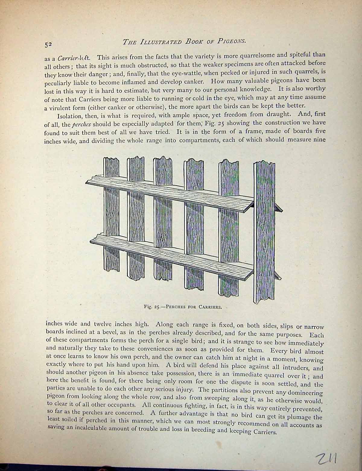 Original Old Antique Print Birds Fulton Wright C1880 Pigeon Perches Carriers