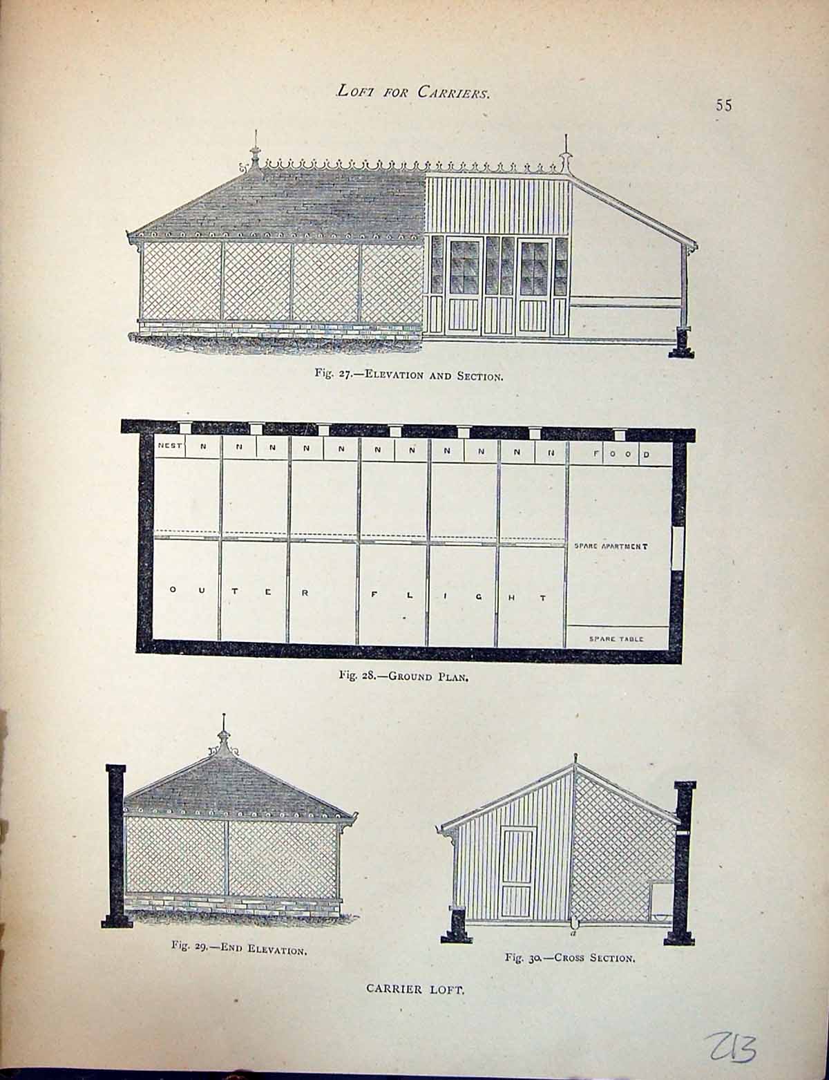 Old Birds Fulton Wright C1880 Pigeon Carrier Loft Elevation Section P Victorian