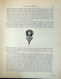 Original Old Antique Print Birds Fulton Wright C1880 Pigeon Head Dragoon 19th