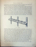 Original Old Antique Print Birds Fulton Wright C1880 Pigeon Perches Loft 19th