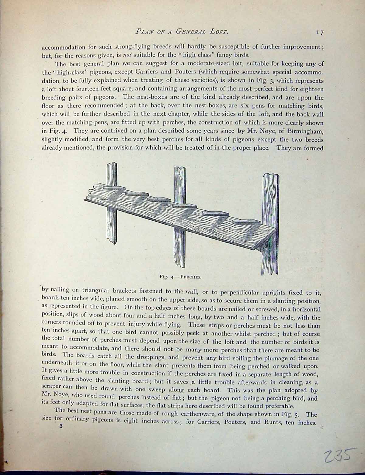 Original Old Antique Print Birds Fulton Wright C1880 Pigeon Perches Loft 19th