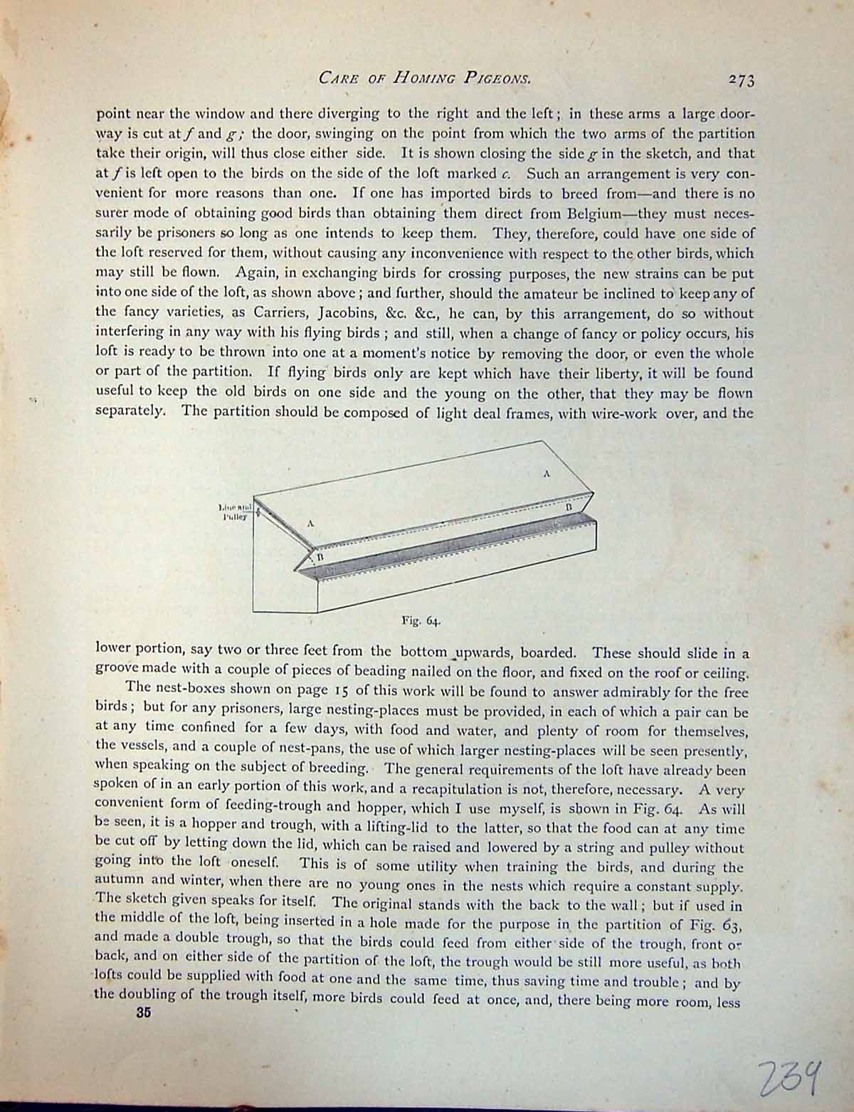 Old Print Birds Fulton Wright C1880 Pigeon Line Pulley Box Lift Diagrams 19th