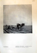 Antique Print Sorting Potatoes Willaim Wells Manx Farmyard Agriculture 1913