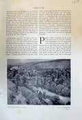 Old Hills Vernau Qutum Warshawsky 1913 Potato Planting Brittany Franc 20th