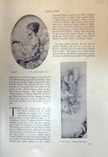 Antique Old Print Psyche Hills Kawnnon Shusui River Scene Nemoto Shokoku 1913