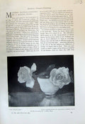 Antique Old Print Satsuma Bowl Flowers Cameron Forget-Me-Nots Richter 1913 20th