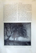 Original Old Antique Print CotswCountry Synge Trees Market Place Tourettes 1913