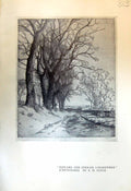 Antique Print Trees Poplars Stream Lingostiere Synge 1913 Francesco Assisi 20th