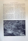Original Old Antique Print Dans Le Village Konstantin Somf Dame En Bleu 1913
