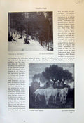 Old Forest Snow Helmberger White Horses Reibmayr Florentine Music Mun