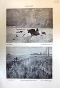 Old Ice Harvest Cullen Prairie Mail Jefferys 1913 Young England Power 20th