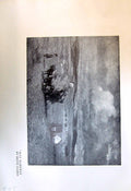 Original Old Antique Print Hay Harvest Beppe Ciardi Ladies Agriculture 1913