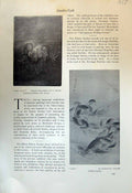 Antique Print Bronze Plaquette Brozzi Carp Birds Tensho Monkeys Suisen 1913