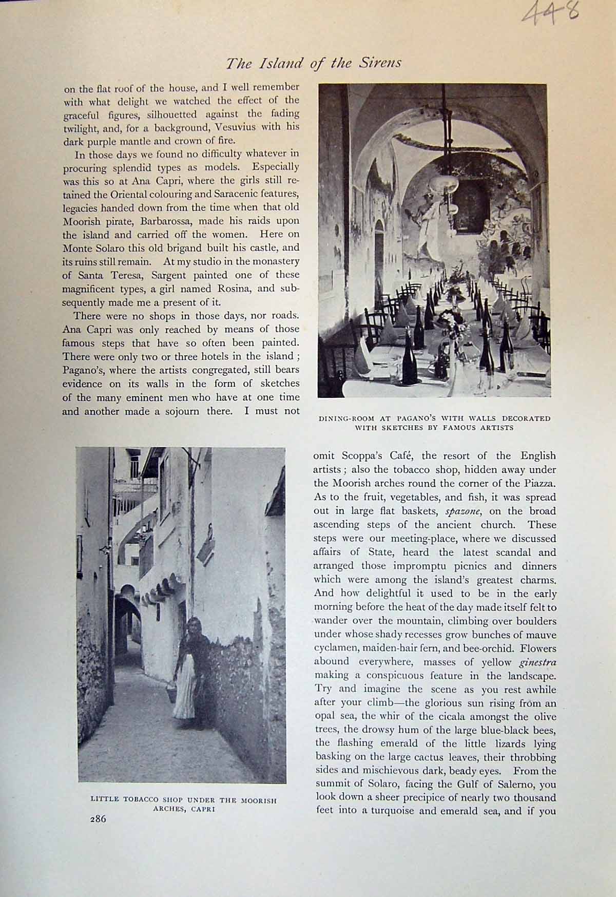 Antique Old Print Pagano Dining Room Tobacco Shop Capri Marina Grande 1913 20th