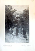 Old Print Women Avignon Paolo Sala Church Procession Giovanni Greppi 1913 20th