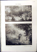 Old Studio 1911 Forest Ecstasy Fred Stratton Woodland Stream Picnic S 20th