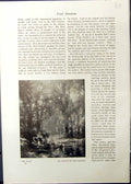 Old Studio 1911 Diver Fred Stratton River Trees Moonrise Trees Lake F 20th