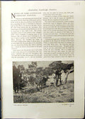 Old 1911 Fair Droving Weather Agriculture Hanson Sydney Harbour Cremo 20th