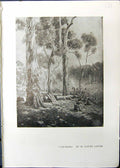 Antique Old Print Studio 1911 Clearing Trees Lister Mid-Day Rest Will Ashton