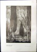 Old Studio 1911 Landscape Henry Dezire Trees Stone-Ware Vase Lenoble 20th