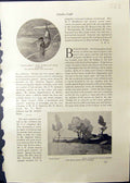 Old Studio 1911 Kingfishers Birds Oskar Boat House Haeberer Wood Engr 20th