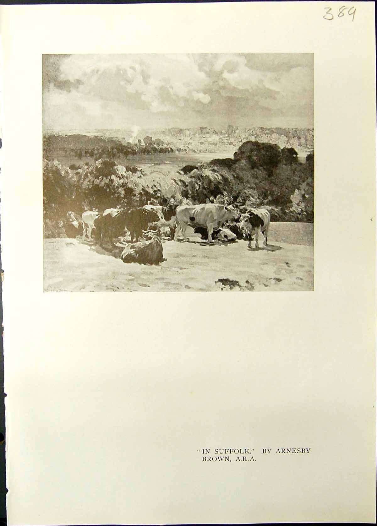 Old Studio 1911 Suffolk Cattle Arnesby Brown June Morning Trees Adria 20th