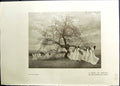 Old Song Spring Maximilian Lenz Ladies Tree Studio 1911 Intermezzo Ro 20th
