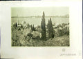 Antique Print Studio 1911 Ifs Dans Les Jardins Du Haut Pera Charles Cottet 20th