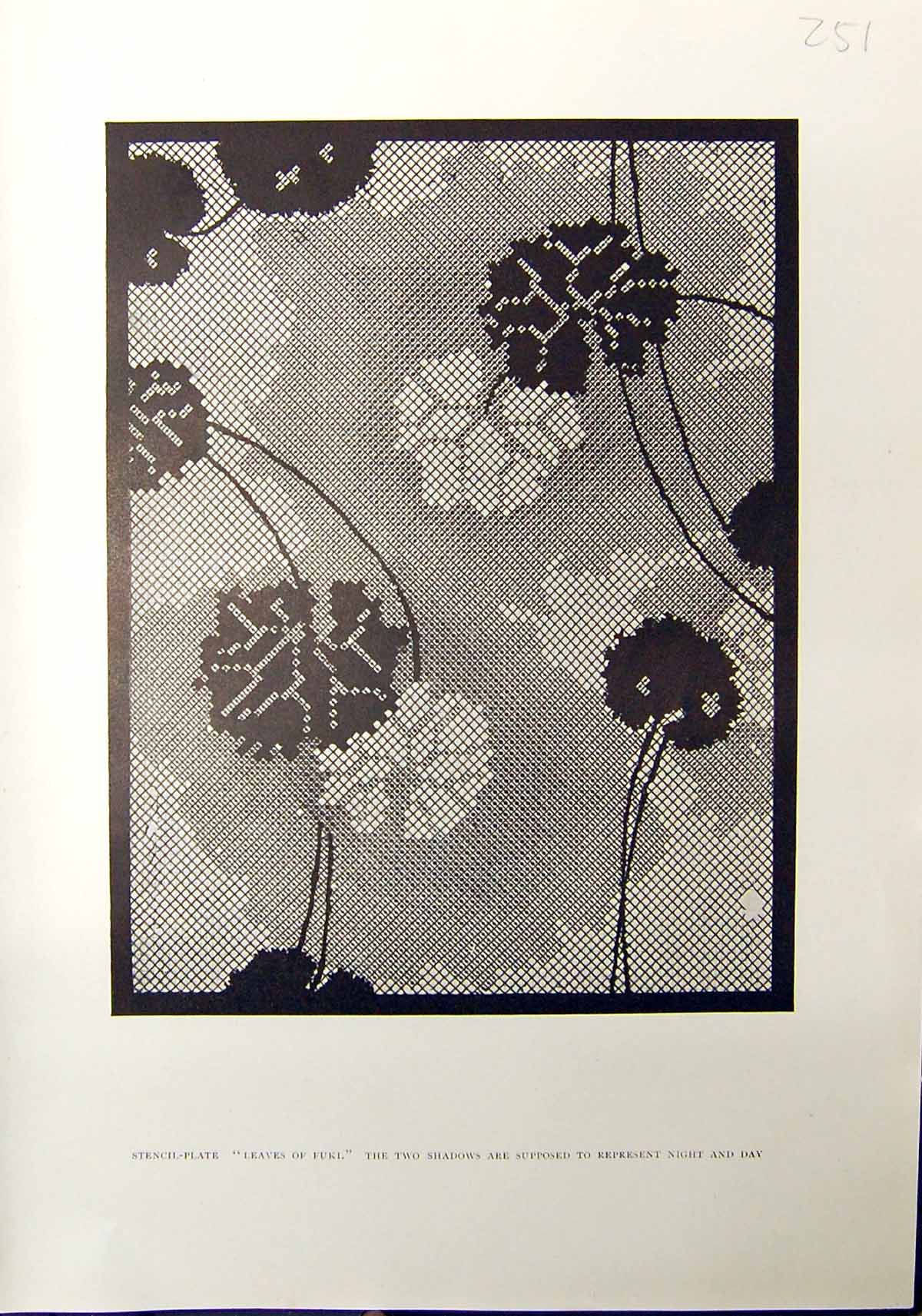 Original Old Antique Print Stencil Plate Leaves Fuki Flowers 1912 Gingko Tree